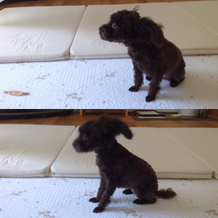 56f3e482 1916 4f9d b107 45dbd576a109