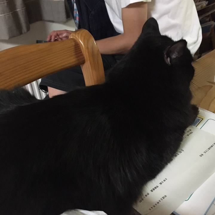 56f50aa0 7985 4b22 ba0e 9c2abe772e20