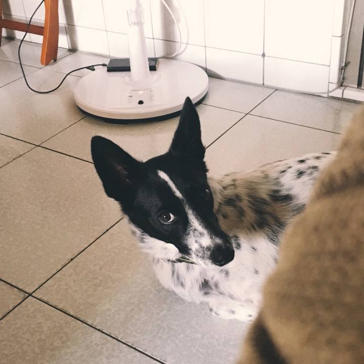 56f592ee 1ac8 40d0 b71d 7e957ced5b2a