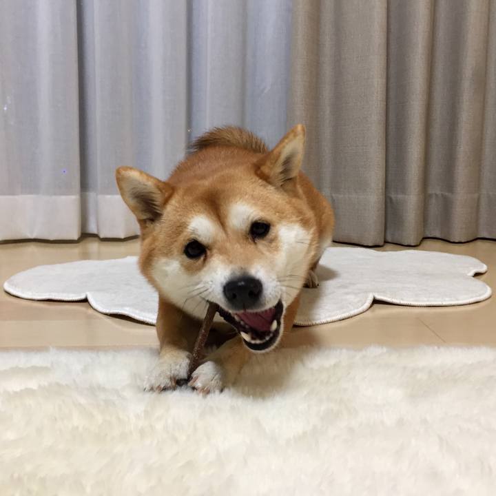 56f5f8a2 92f1 44cf 856b d71bef6417a9