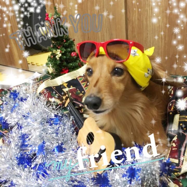 56f6f6ba c7ec 41b2 ad30 a3fe11a34723