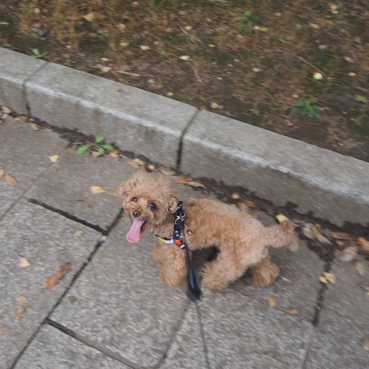 56f734cd 9edb 46aa a593 408aa2a04282