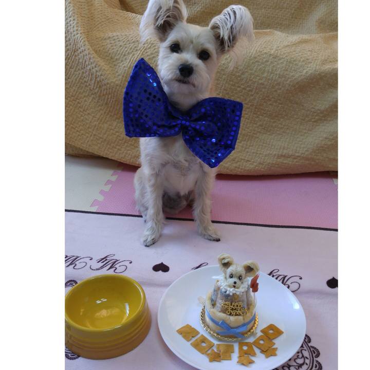 56f76da1 f7bf 4b55 864b 31e6ffb83d6c