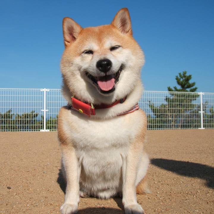 56f7afd6 f858 4529 a192 096ee003d4b9