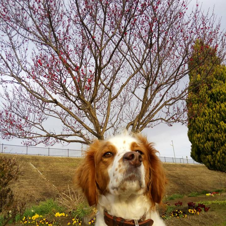 56f7eea1 4edb 4196 bb53 05164508a4f1