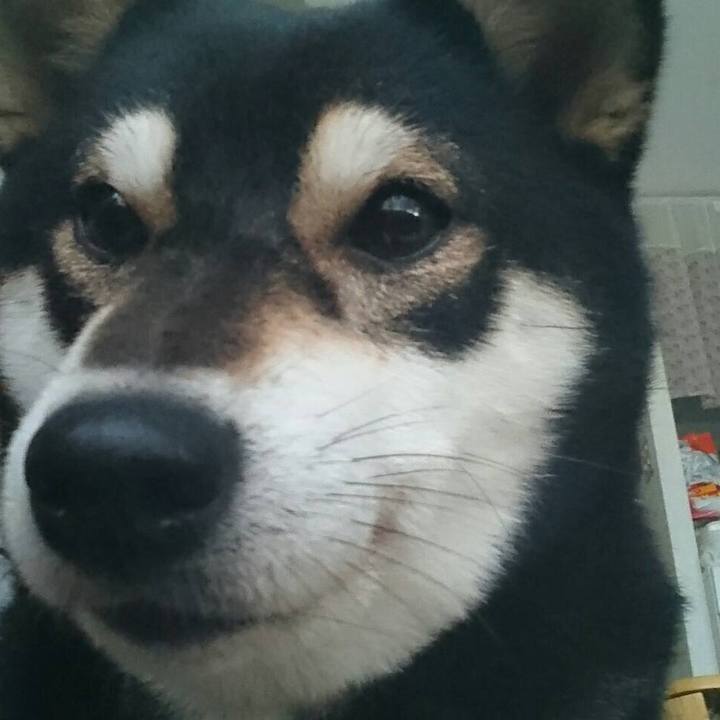 56f7efa8 148c 4029 b109 c32159a9e7d5