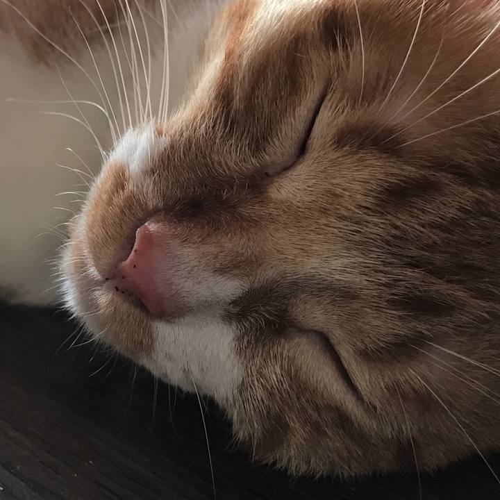 56f84bda 2291 4a7e 9334 00df510f61f6