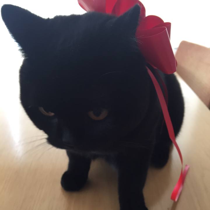 56f8a4fe c188 4abe 8ef6 95487ea4ced5