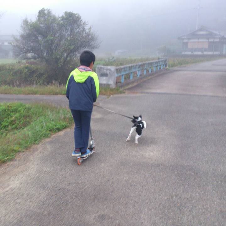 56f913a8 7b0f 422e ac74 ae8a91a4f5d5