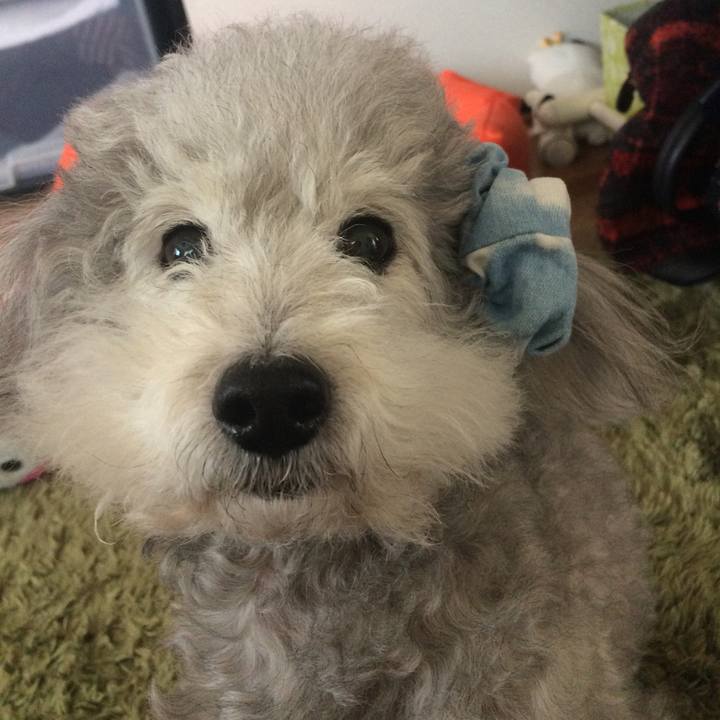 56f94fd6 cef6 4aa6 8b9e 0b072377ddc7