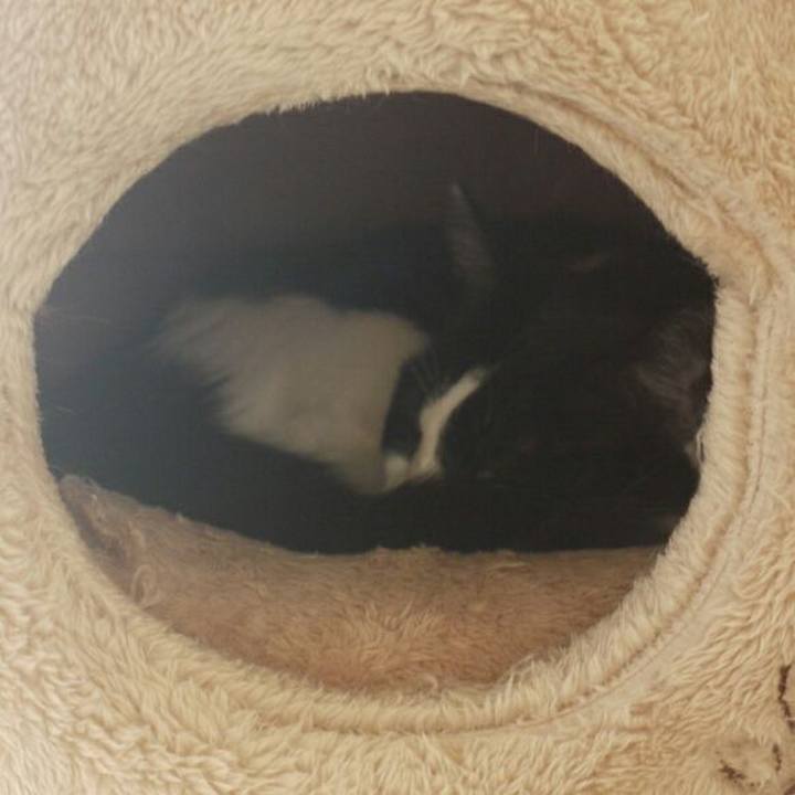 56f95962 be8e 4c57 a7ca 761589401bd1