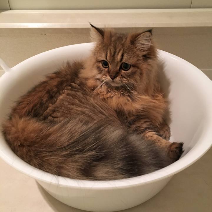 56f96d4b 57f9 4bd7 a011 a9667e9691fd