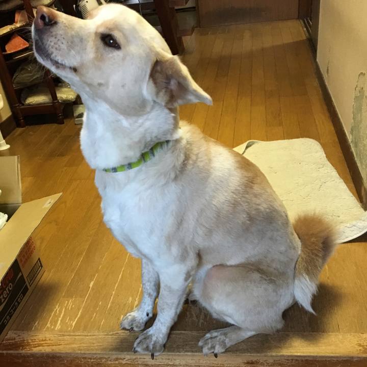 56fa2af0 b6b5 429b 9489 1f53e754ef48