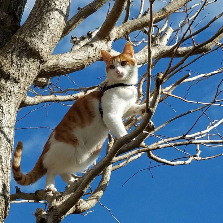 56fa773a a8e5 424a a715 32615bf27cc9