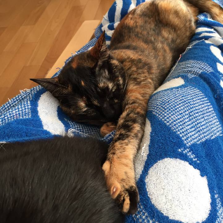 56fb0253 5a9c 4f02 a7d3 dacd7f748f76