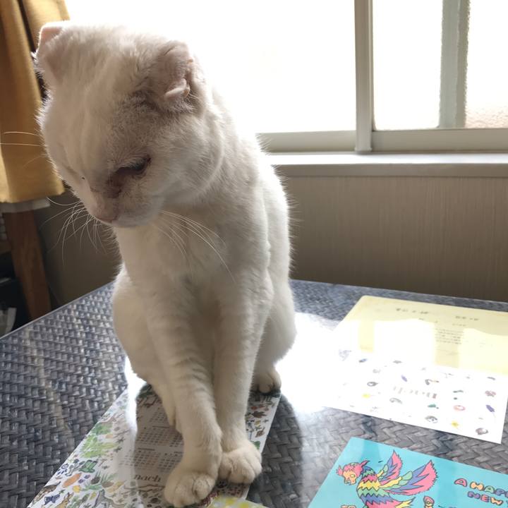 56fb5cfc 2e96 42dd 8d16 bbc4f04e55e0