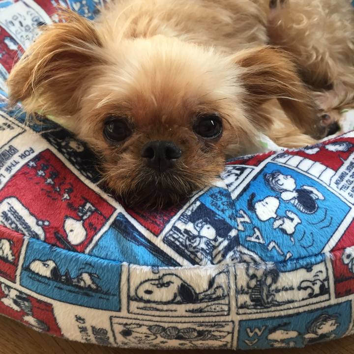 56fb9738 f06a 41d4 80a5 d5f82784c963