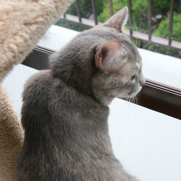 56fbaa02 6d1c 4d3e b6c9 6aa4f0ea7342