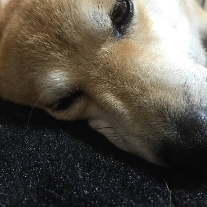 56fc9978 2431 4bb2 8db3 d7c1c53f837d