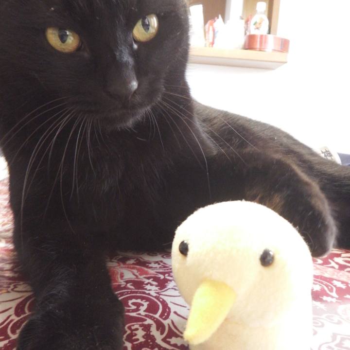 56fccc05 fc7d 44c4 b998 9f5662b42311