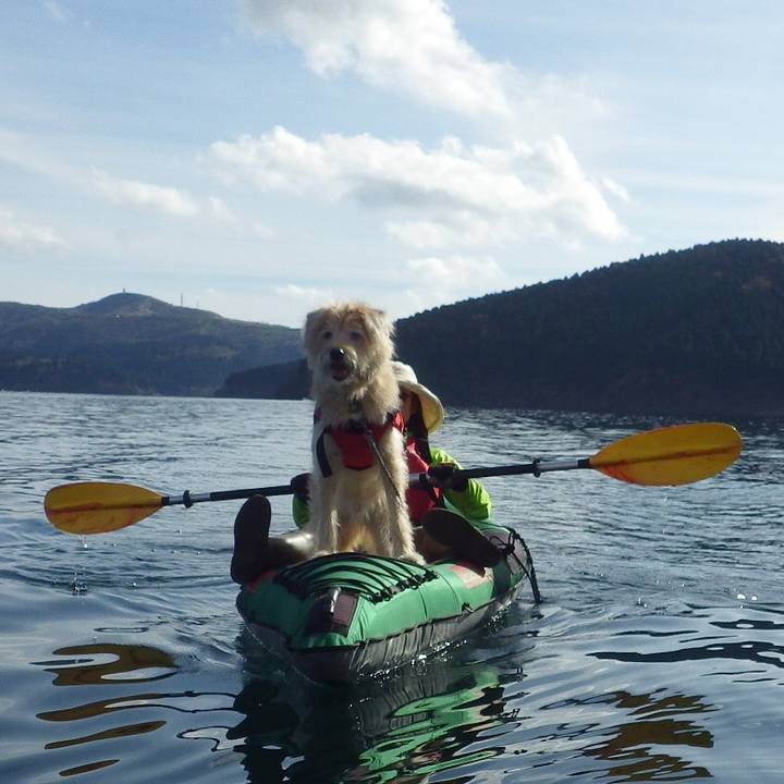 56fd16bc 10a5 4796 bfb8 d3cb6630419f