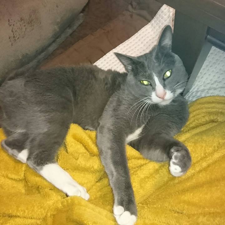 56fd8d83 c3d5 4952 8b2b af1bef478ece