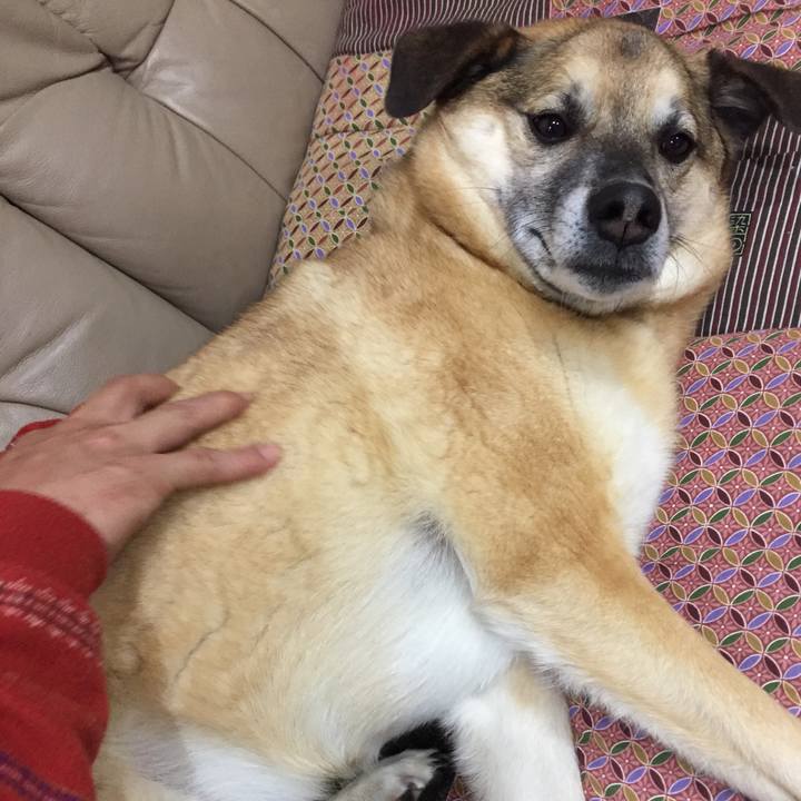 56fda812 1206 4ec1 8083 a780e74dcef9