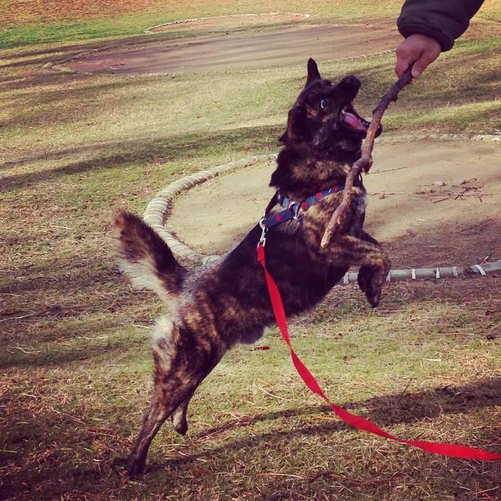 56fdd1f3 b800 4002 8c00 bc971f35c6e8