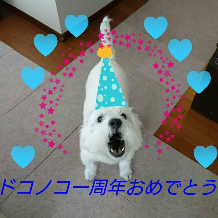 56fdef5d 3146 46d7 b783 001025a51842