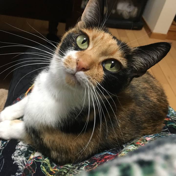 56fffe6e 0838 4685 bc7d 8b16cba77b30