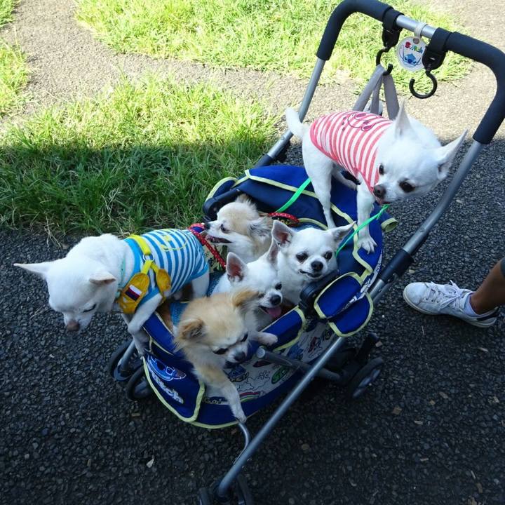 57000e79 f29b 48ac 90a5 8c640753f7be