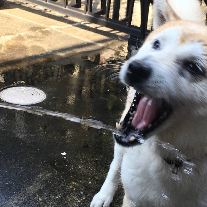 57002807 d652 4676 bf55 05bbf9535b1a