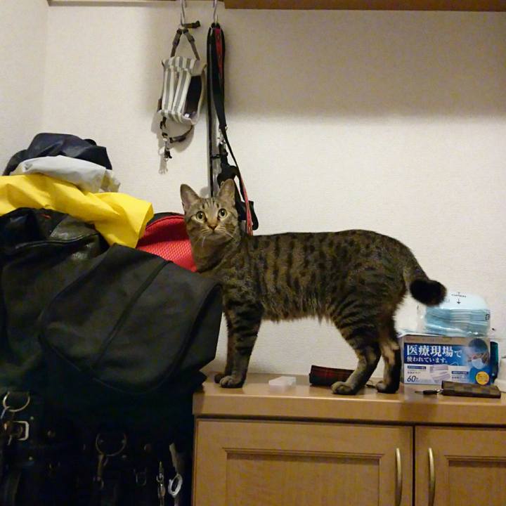 570037f5 629f 47c5 b020 00f32cba0f5e