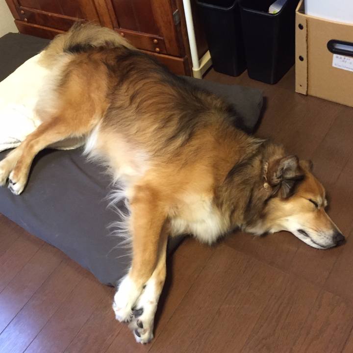 57004b28 6ee5 4afa 836b 5c709b27fd23