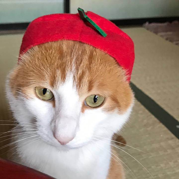 57008aa5 c870 4518 982c d67ea5c2ee35