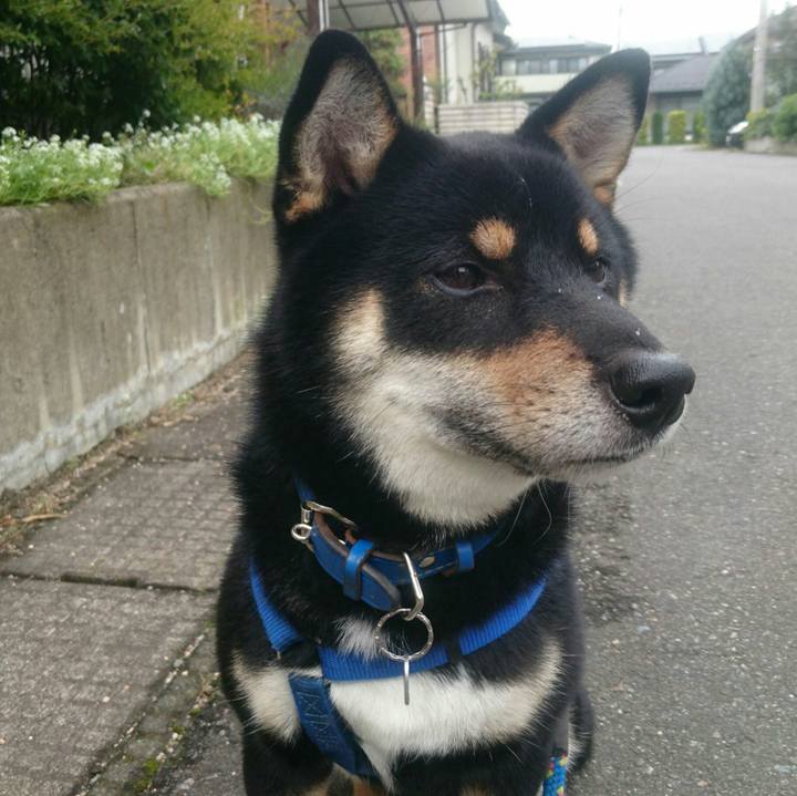 5701410b b392 4637 9239 8cfb626817a9