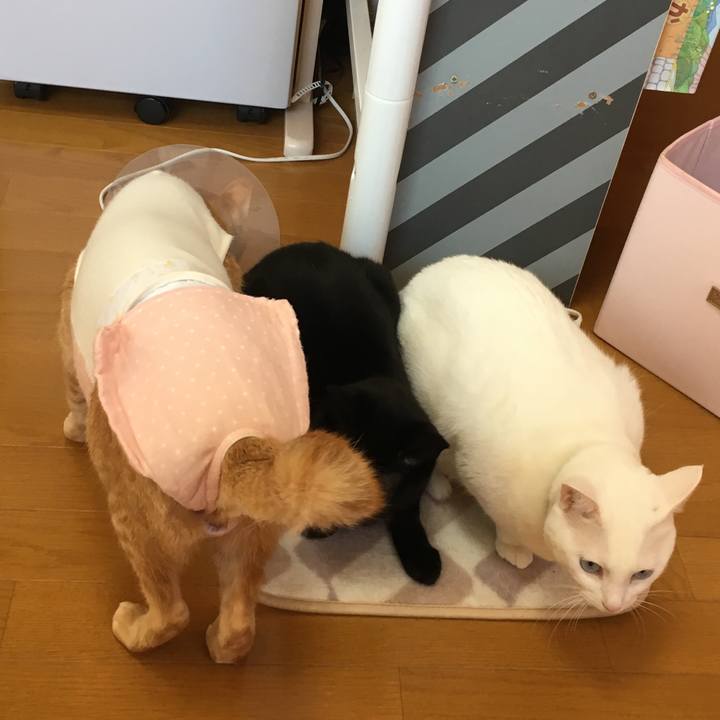 5701fc91 1a83 4947 ab7e d7b274323b14