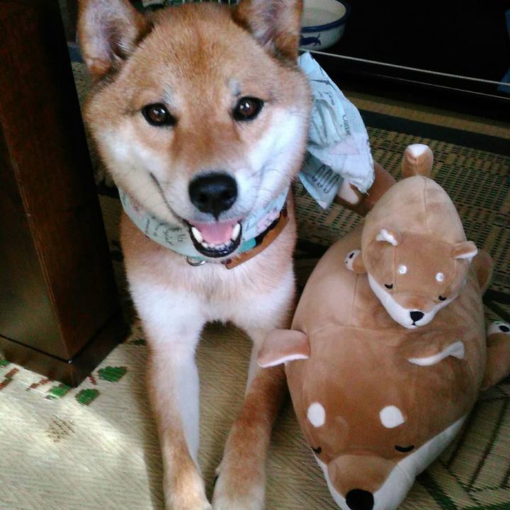 57024f19 95c5 4a1e 954d a4fb2dc5d442