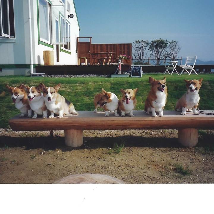 57027160 42da 4dc6 a121 c1352fa0138a