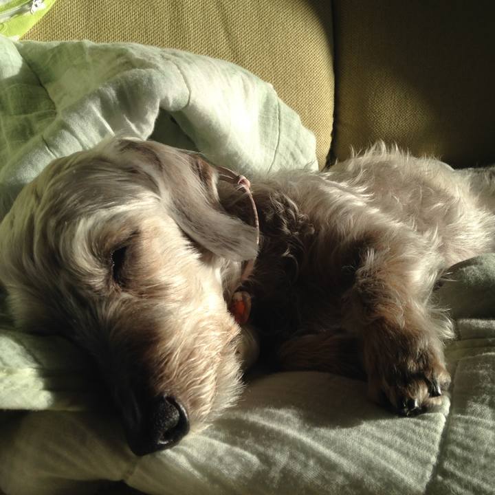 570369ad e762 483b 88ab aa7cc06740f9