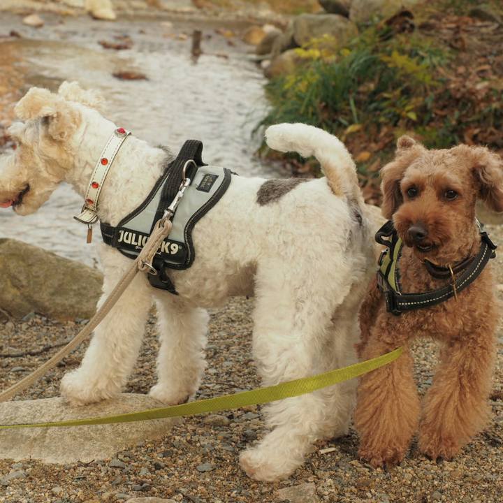 5703a5d1 bd9f 4463 bf06 3f7dc88d181e