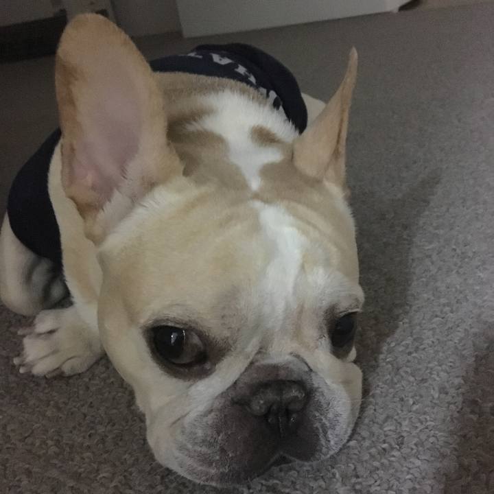 57042448 f4aa 4110 868f 59f5870df849