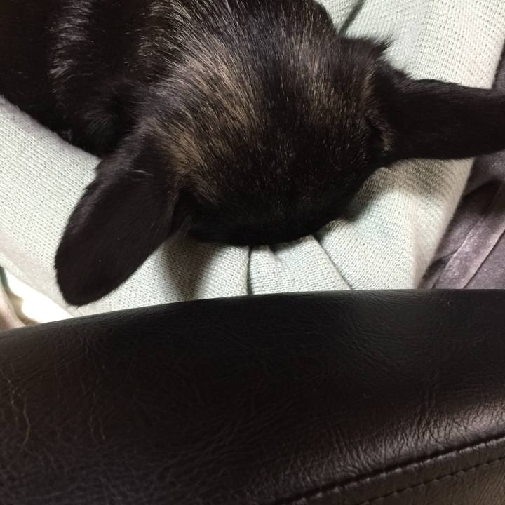 5704735d 06c0 4f38 a4f9 f21ae0449c0d