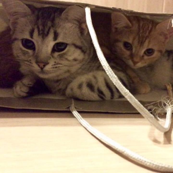 5704c013 a8fd 4406 835e 6e130bae5e7c