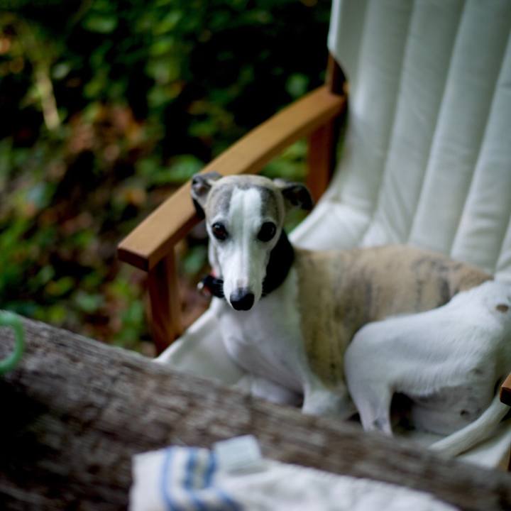 5704e1e9 2136 4e31 8a53 42d7a3d4bdeb