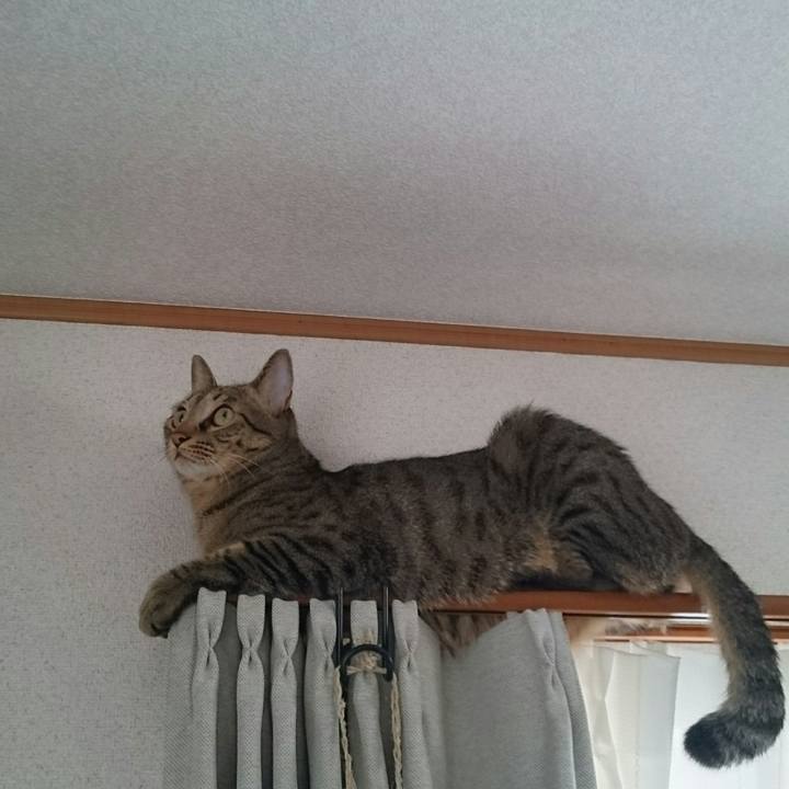 5705038b 3640 4aca 9e62 55e198106b5e