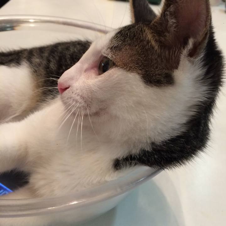 57052f30 11dc 4de6 96cd b11f20c129bc