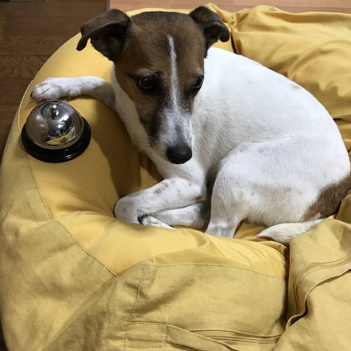 5705418f c32c 43c3 8afc 76549bf7da2d