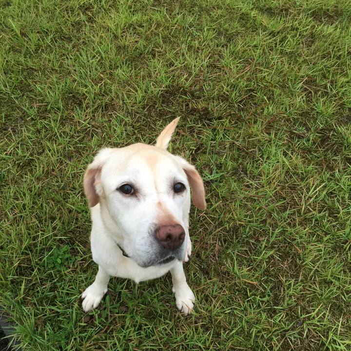 5705518f 7828 4312 bbcf da5dfb3f630e