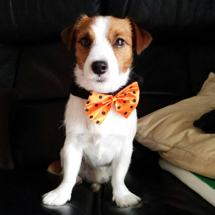 57059e35 bb7c 477a 8cf1 03e411f09e25